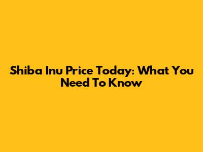 Shiba Inu Price Today: What You Need To Know